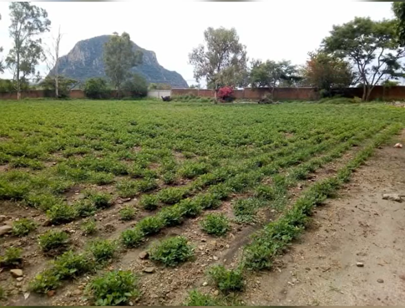 Eje 5: Módulos de producción.